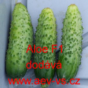 Okurka set&aacute; nakl&aacute;dačka hybridn&iacute; Aloe F1
