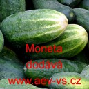 Okurka set&aacute; sal&aacute;tov&aacute; Moneta