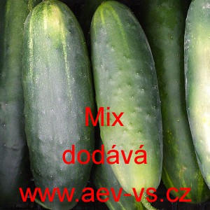 Okurka set&aacute; sal&aacute;tov&aacute; speci&aacute;lně na rychlokva&scaron;ky Mix