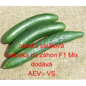 Okurka set&aacute; sal&aacute;tov&aacute; hybridn&iacute; "hadovka" na z&aacute;hon EU Mix
