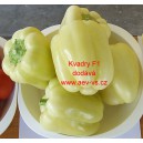 Paprika ročn&iacute; zeleninov&aacute; hybridn&iacute; Kvadry F1
