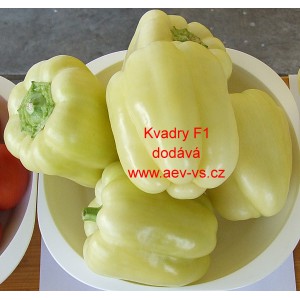 Paprika ročn&iacute; zeleninov&aacute; hybridn&iacute; Kvadry F1