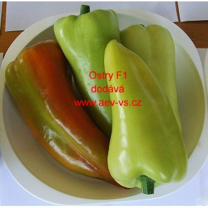 Paprika ročn&iacute; zeleninov&aacute; hybridn&iacute; p&aacute;liv&aacute; Ostry F1