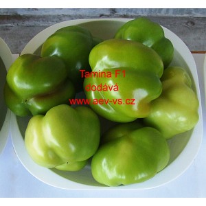 Paprika ročn&iacute; rajčinov&aacute; hybridn&iacute; Tamina F1