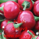Paprika ročn&iacute; zeleninov&aacute; p&aacute;liv&aacute; kulat&aacute; Kor&aacute;l