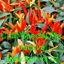 Paprika p&aacute;liv&aacute; Chilli Special Mix
