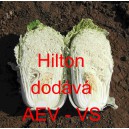 Pekingsk&eacute; zel&iacute; Hilton