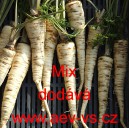 Petržel kořenov&aacute; dlouh&aacute; hladk&aacute; Mix