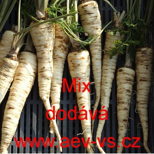 Petržel kořenov&aacute; dlouh&aacute; hladk&aacute; Mix