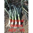 P&oacute;r zahradn&iacute; Terminal