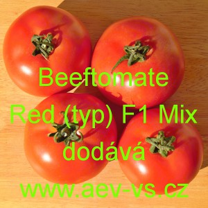 Rajče tyčkov&eacute; hybridn&iacute; Beeftomate Red (typ) F1 Mix