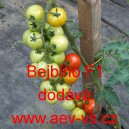 Rajče tyčkov&eacute; hybridn&iacute; Bejbino F1