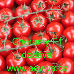 Rajče tyčkov&eacute; hybridn&iacute; Cheramy F1