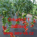 Rajče tyčkov&eacute; hybridn&iacute; Orkado F1