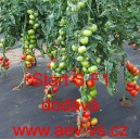 Rajče tyčkov&eacute; hybridn&iacute; Start S F1