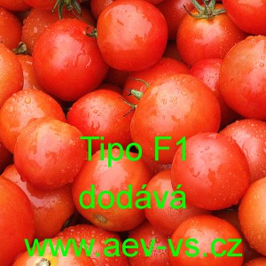 Rajče tyčkov&eacute; hybridn&iacute; Tipo F1