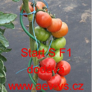 Rajče tyčkov&eacute; hybridn&iacute; Start S F1