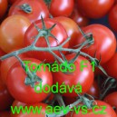 Rajče tyčkov&eacute; hybridn&iacute; Torn&aacute;do F1