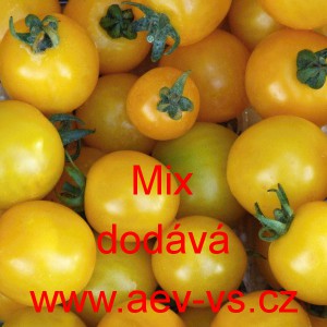 Rajče tyčkov&eacute; Zlatožlut&eacute; Mix