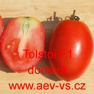 Rajče tyčkov&eacute; hybridn&iacute; Tolstoi F1