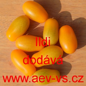 Rajče tyčkov&eacute; Ildi