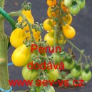 Rajče tyčkov&eacute; Perun