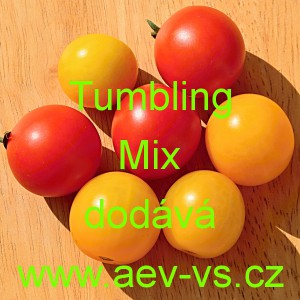 Rajče balkonov&eacute; přepad&aacute;vaj&iacute;c&iacute; (převisl&eacute;) Tumbling Mix