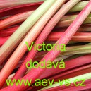 Rebarbora reveň kadeřav&aacute; Victoria