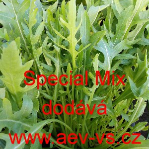 Roketa set&aacute; &uacute;zkolist&aacute; Special Mix