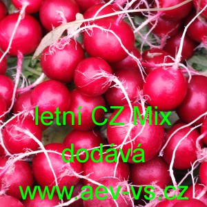 Ředkvička CZ Směs pro letn&iacute; v&yacute;sevy