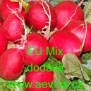 Ředkvička k rychlen&iacute; EU Mix