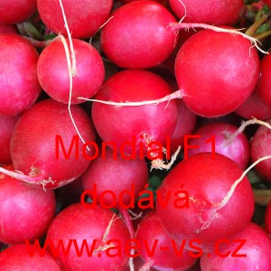 Ředkvička hybridn&iacute; Mondial F1