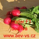 Ředkvička hybridn&iacute; Rondar F1