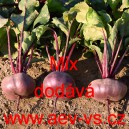 Řepa červen&aacute; sal&aacute;tov&aacute; eliptick&aacute; Mix