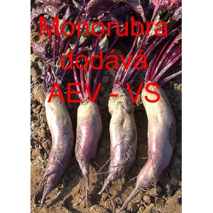 Řepa červen&aacute; sal&aacute;tov&aacute; Monorubra