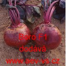 Řepa červen&aacute; sal&aacute;tov&aacute; hybridn&iacute; Boro F1