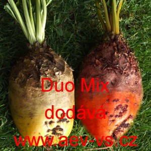 Řepa krmn&aacute; Duo Mix, směs.