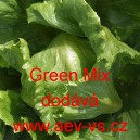 Sal&aacute;t hl&aacute;vkov&yacute; ledov&yacute; na z&aacute;hon Green Mix