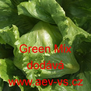 Sal&aacute;t hl&aacute;vkov&yacute; ledov&yacute; na z&aacute;hon Green Mix