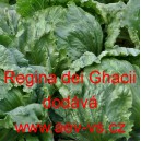 Sal&aacute;t hl&aacute;vkov&yacute; ledov&yacute; Regina dei Ghacii