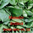 &Scaron;pen&aacute;t set&yacute; zeln&yacute; Matador