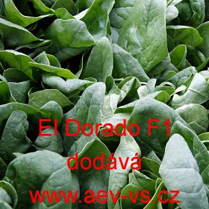 &Scaron;pen&aacute;t set&yacute; zeln&yacute; hybridn&iacute; Piano F1