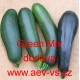 Tykev obecná cuketa Green Mix