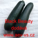 Tykev obecn&aacute; cuketa Black Beauty