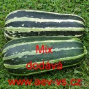 Tykev obecn&aacute; cuketa zebrovan&aacute; Mix