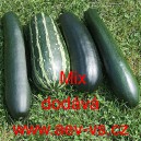 Tykev obecn&aacute; cuketa zelen&aacute; a zebrovan&aacute; Mix