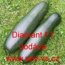 Tykev obecn&aacute; cuketa hybridn&iacute; Diamant F1