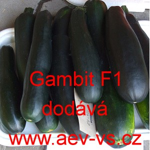 Tykev obecn&aacute; cuketa hybridn&iacute; Gambit F1