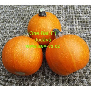 Tykev obecn&aacute; cuketa hybridn&iacute; kulat&aacute; One Ball F1