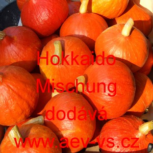 Tykev velkoplod&aacute; Hokkaido Mischung